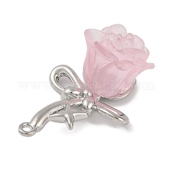 Платинового сплава смолы подвески&nbsp;FIND-U017-07P-01