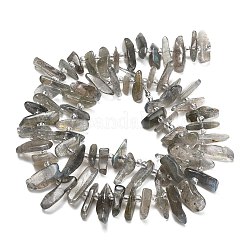 Природные лабрадорита бисер нитей&nbsp;G-Z124-C01-01