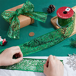 Блестящая полиэстеровая сетчатая лента с пайетками&nbsp;OCOR-WH0082-476