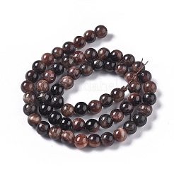 Природных тигровый глаз бисер нитей&nbsp;G-K301-6mm-01