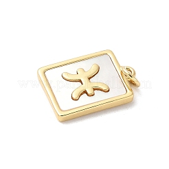 Подвески из латуни с натуральными белыми ракушками&nbsp;KK-S522-09G-E