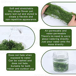 150 г искусственных камней из мха&nbsp;DJEW-SP0001-22A