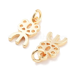 Латунные подвески&nbsp;KK-P271-30G