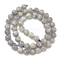 Природные лабрадорита бисер нитей&nbsp;G-L642-F07-8mm