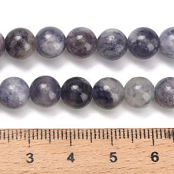 Природные иолит нитей бисера&nbsp;G-G300-A04-8mm