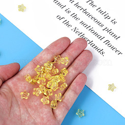 Прозрачные акриловые бусины&nbsp;MACR-S373-45-B03