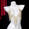 Alloy Full Crystal Rhinestone Mesh Tassel Chest Sexy Body Chains for Bikini, Golden, 800mm