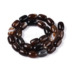 Окрашенные натуральные полосатые агатовые бусы&nbsp;G-T144-44B
