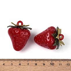 Непрозрачные акриловые подвески&nbsp;OACR-I029-01C