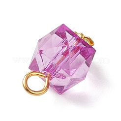 Прозрачные акриловые подвески&nbsp;PALLOY-JF04258-01