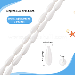 2 нить бусин из натуральных пресноводных ракушек&nbsp;BSHE-PH0001-53