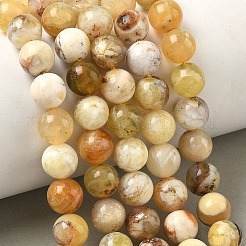 Природные желтые опал бусины пряди&nbsp;G-I213-18-8mm