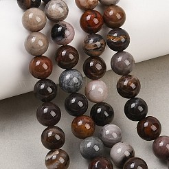 Натуральный окаменелого дерева нити круглый шарик&nbsp;G-F266-08-8mm