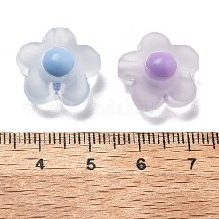 Матовые прозрачные акриловые бусины&nbsp;OACR-A032-12B