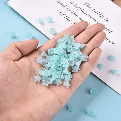 Прозрачные акриловые бусины&nbsp;PL554-11