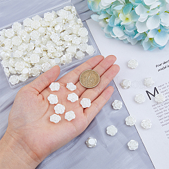 200шт бусины из искусственного жемчуга из АБС-пластика&nbsp;OACR-DC0001-26