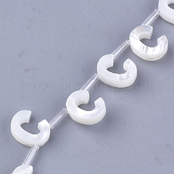 Бусины из натуральных морских раковин&nbsp;SHEL-T012-60C