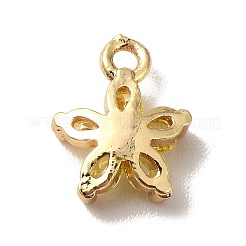 Подвески из латуни с кубическим цирконием&nbsp;LS-KK-O141-01G-04