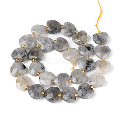 Природные лабрадорита бисер нитей&nbsp;G-P592-B14-01