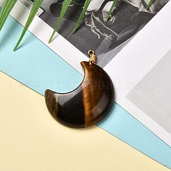 Природные и синтетические Gemstone подвески&nbsp;PALLOY-JF00854