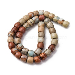 Натуральные бусины из аква терра яшмы&nbsp;G-L624-D03-8x6mm