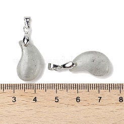 Природные подвески лабрадорита&nbsp;G-NH0025-14P-06