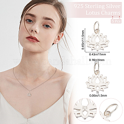 5 шт. 925 подвески из стерлингового серебра&nbsp;STER-BBC0001-53