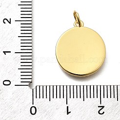 Подвески из латуни микропаве с фианитами и эмалью&nbsp;KK-Z093-05G