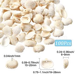 100 шт. подвески из натуральной ракушки&nbsp;SSHEL-SC0001-53