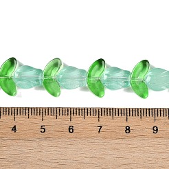 Прозрачные стеклянные бусины&nbsp;GLAA-K070-02C