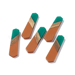 Подвески из непрозрачной смолы и ореха&nbsp;RESI-M027-06J