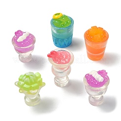 30 шт. 5 стиля декора из смолы&nbsp;DJEW-CJ0001-15