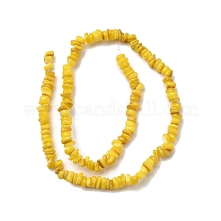 Бусины из натуральных пресноводных ракушек&nbsp;SHEL-B003-01