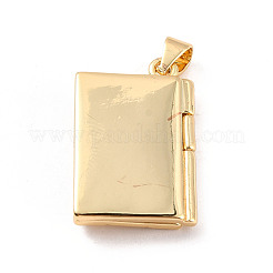 Подвески в виде медальонов из латуни с микропаве из прозрачного кубического циркония&nbsp;ZIRC-C035-10G