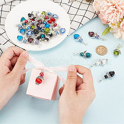 Стекло подвесные украшения&nbsp;HJEW-GO00031