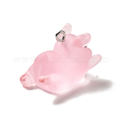 Подвески из полупрозрачной смолы&nbsp;LS-RESI-E031-01P-06