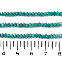 Природные Говлит бисер нитей&nbsp;G-H025-03B-04