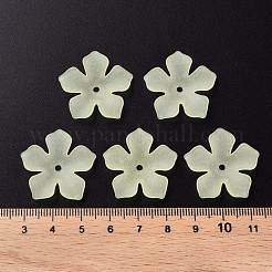 Прозрачные акриловые бусины&nbsp;MACR-S373-119-D03