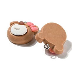 Подвески из смолы&nbsp;LS-X-RESI-C002-07