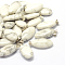 Horse Eye Natural Howlite Pendants, with Platinum Tone Brass Findings, 27~30x12~15x5~6mm, Hole: 2x7mm