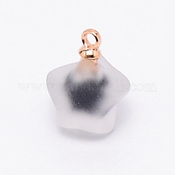 Кулоны из смолы&nbsp;MP-TAC0009-03F