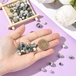 60 шт. бусины из натурального древесного агата двух размеров&nbsp;G-YW0002-97