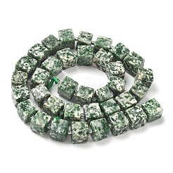 Натуральные зеленые пятна яшмовых нитей G-D338-A03