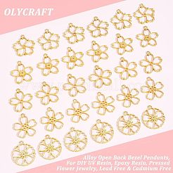 Подвесные подвески из сплава&nbsp;PALLOY-OC0002-11G-RS