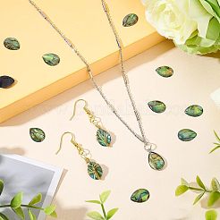 30 шт. кабошоны из ракушки пауа&nbsp;SSHEL-FH0001-17