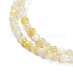 Нити бусин из натуральной ракушки трохус&nbsp;BSHE-H109-12A