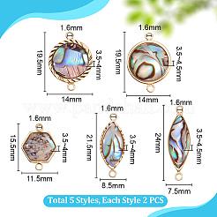 10 шт. 5 стиля латунные подвески-соединители из натуральной ракушки пауа&nbsp;KK-PH0012-91B