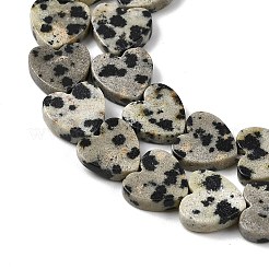 Природные яшмы далматин бисер нитей&nbsp;X-G-M403-A31-03