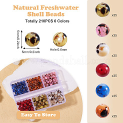 175 шт. 5-цветные бусины из натуральных пресноводных ракушек&nbsp;SHEL-PJ0001-01