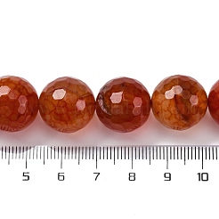 Нити бусин из натурального агата с прожилками дракона (окрашенные и нагретые)&nbsp;G-K390-A02-01